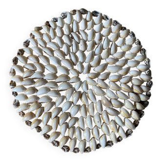 Dissolved shell dish