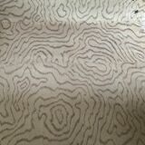 Antique suitcase and its key