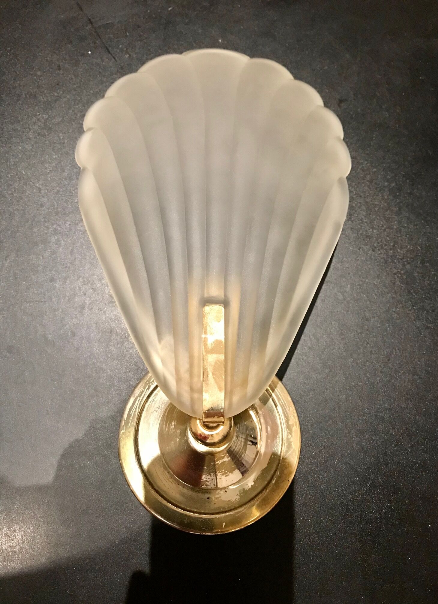 Glass shell wall lamp