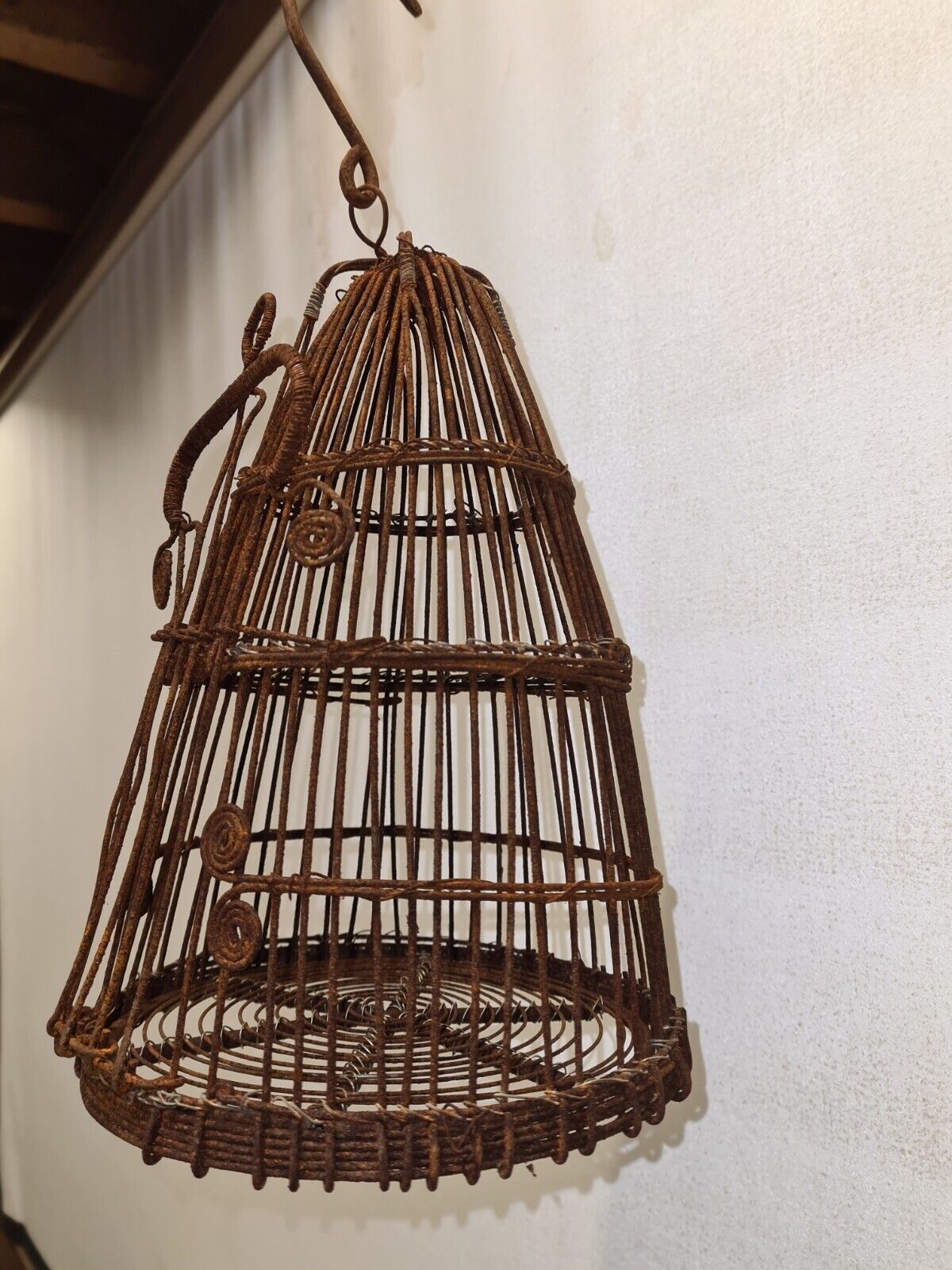 Iron bird cage