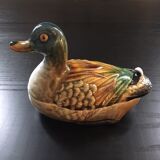 Empty duck pocket in dabbling