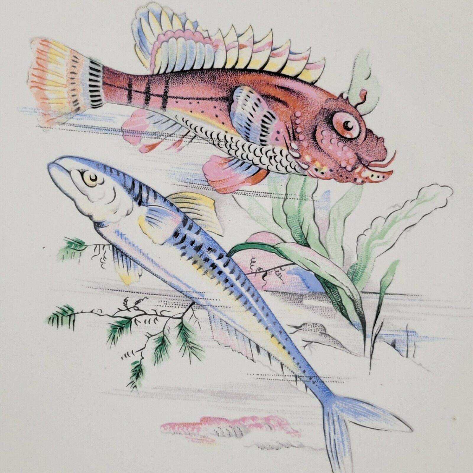 6 old fish plates in Salins earthenware France vintage oval