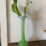 Green and white soliflore