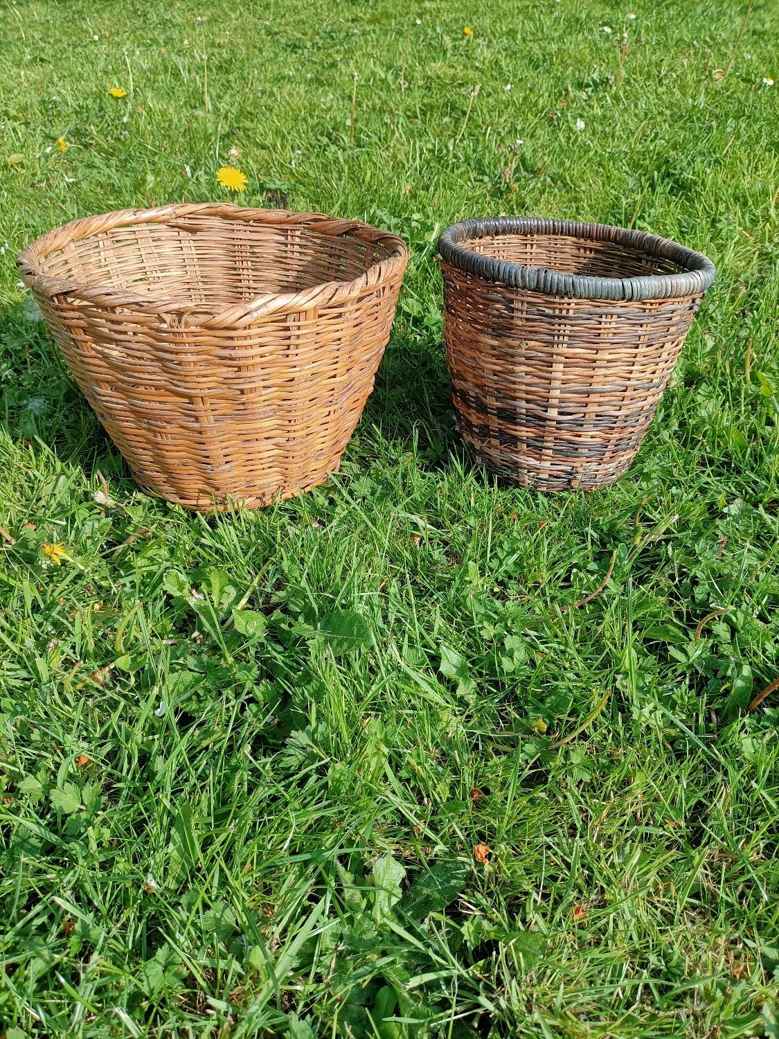 Lot cache-pots osier