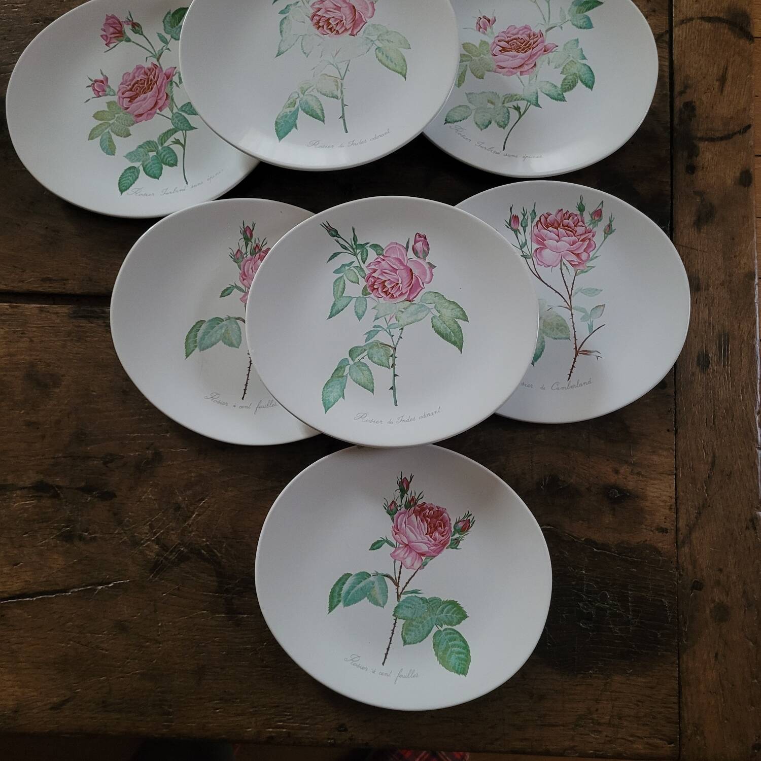 8 oval plates Salins – 1970s – Botanical roses
