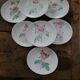 8 oval plates Salins – 1970s – Botanical roses