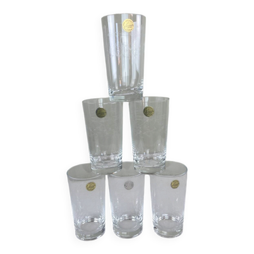 6 engraved glasses