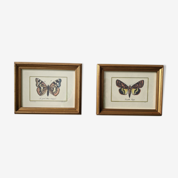 Lot of two old frames with butterflies