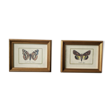 Lot of two old frames with butterflies