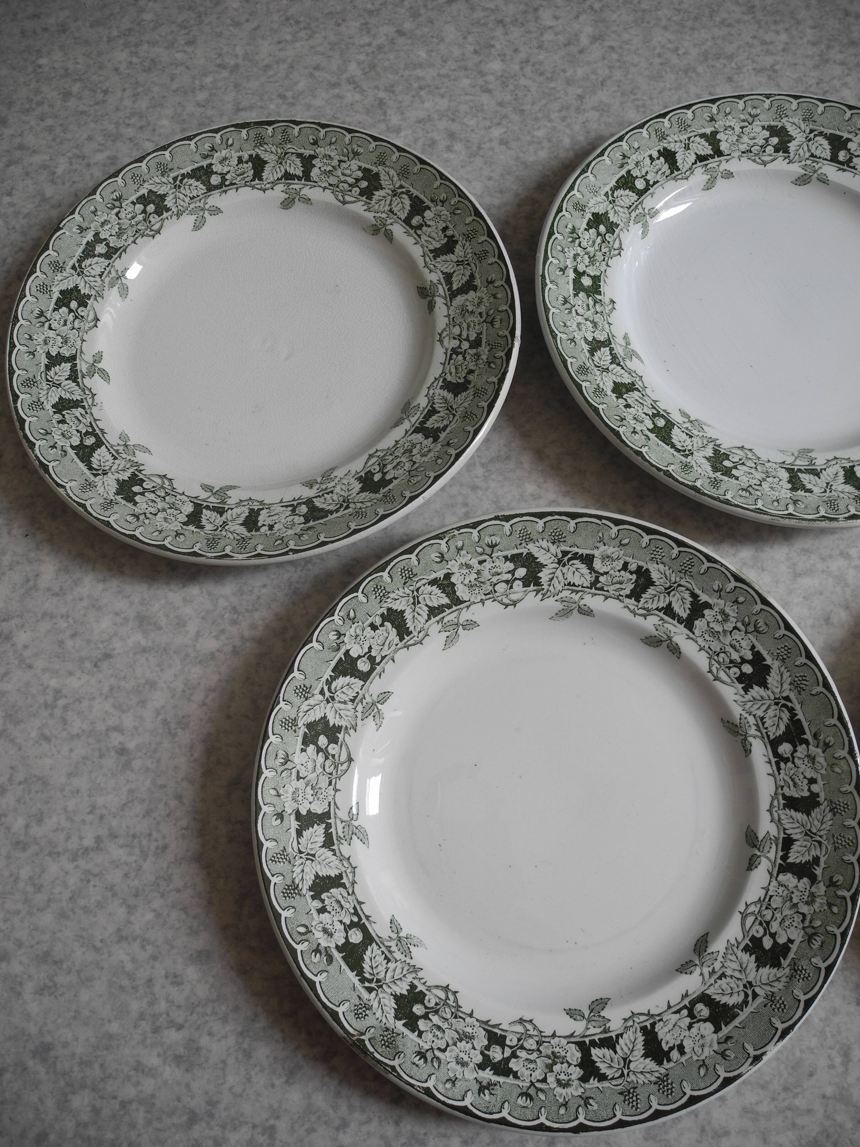 Lot of 5 flat plates, St Amand earthenware, antique French flate plates, 30s