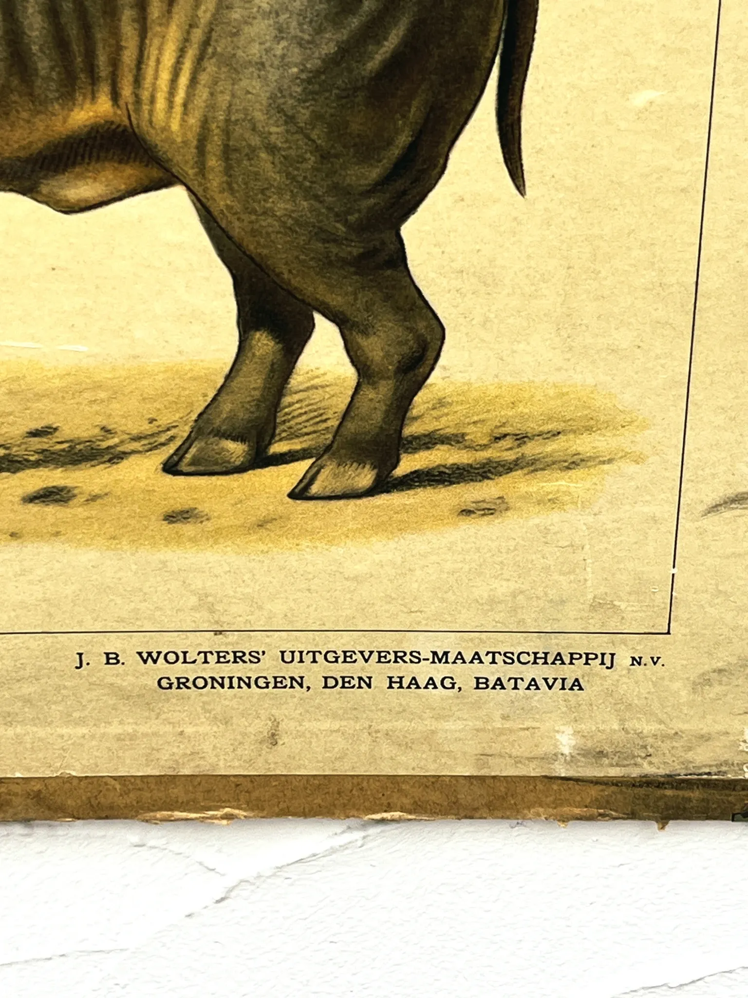 School poster J.B. Wolters