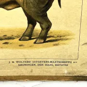 School poster J.B. Wolters