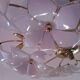 Murano Glass and Golden Brass ceiling lamp, 1970s