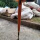 Table extensible à rallonges ancienne pieds compas vintage design XXeme