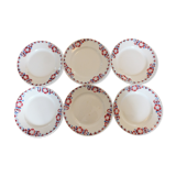 + 6 flat plates Céranord - Saint Amand model Eglantines Lot 2 +