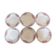 + 6 flat plates Céranord - Saint Amand model Eglantines Lot 2 +