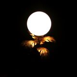 Palm table lamp by Hans Kogl