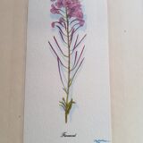 Série 4 Anciennes Planches Botaniques Fleurs GRANDALL + Cadre Bois Doré Vintage