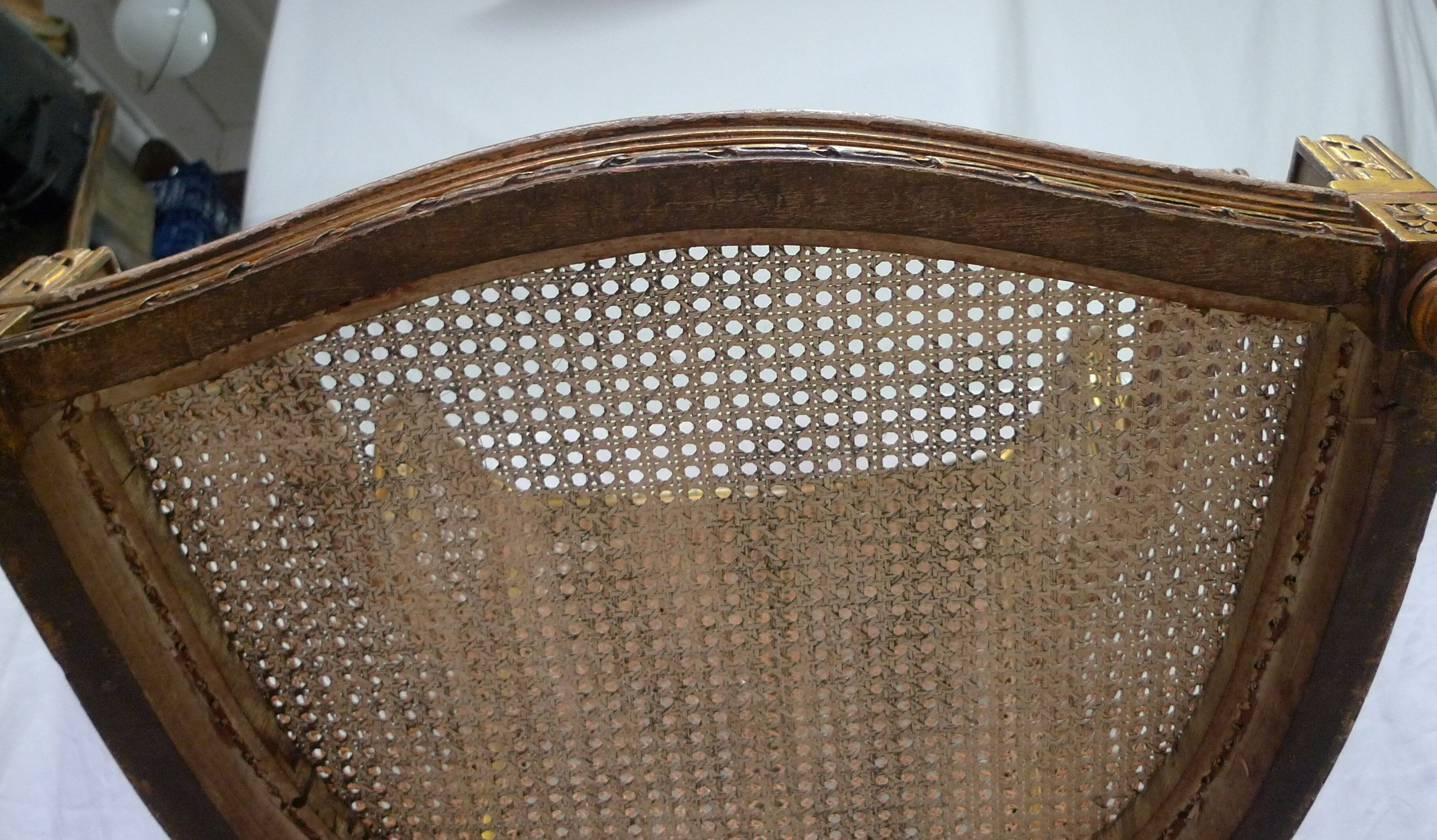 Bergere in ear canning