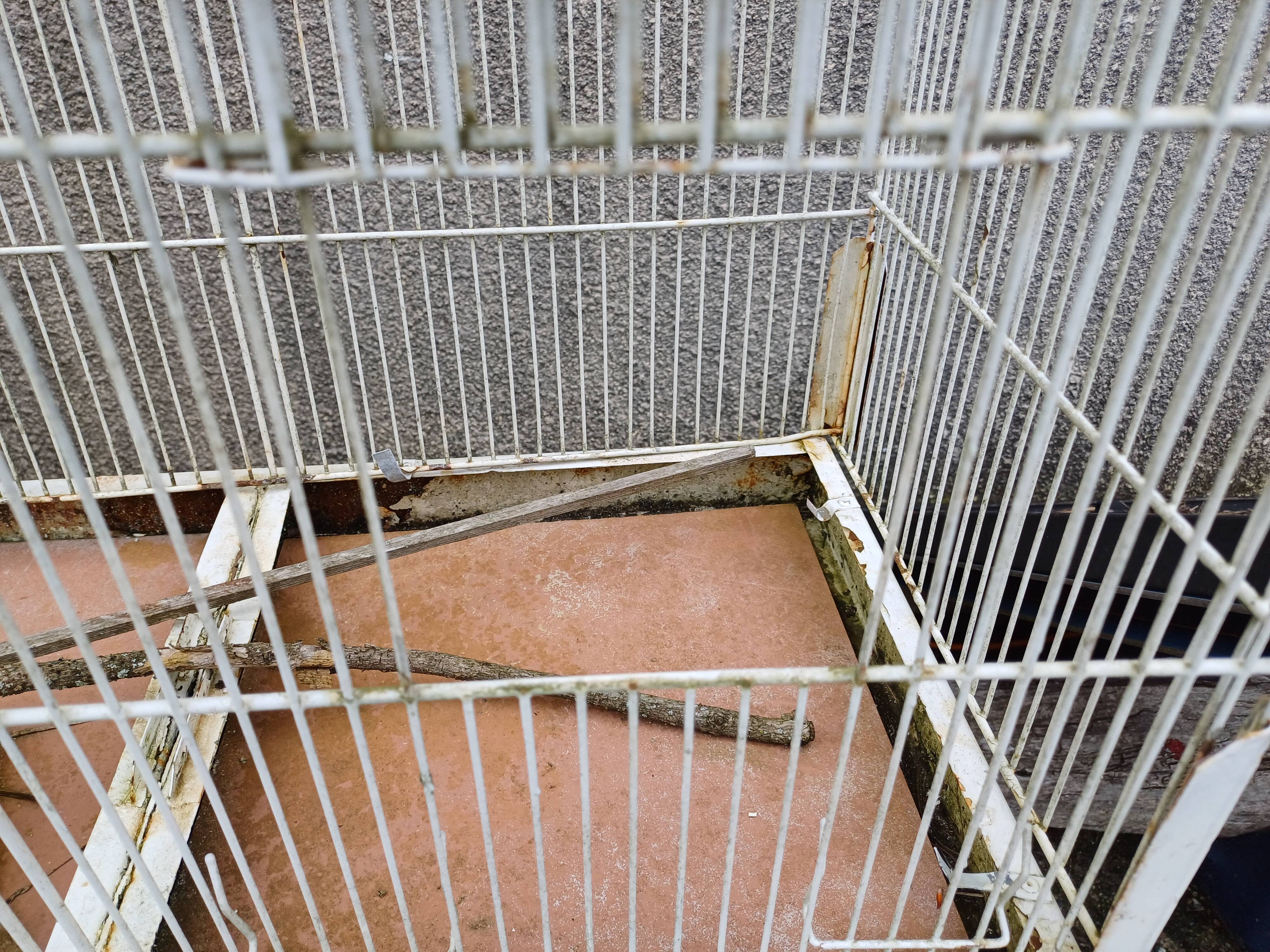 Cage à Oiseaux Fer 1900