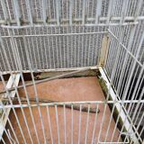 Iron Bird Cage 1900