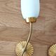 Pair of sconces in brass and opaline 1960