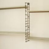 Gray tomado shelf
