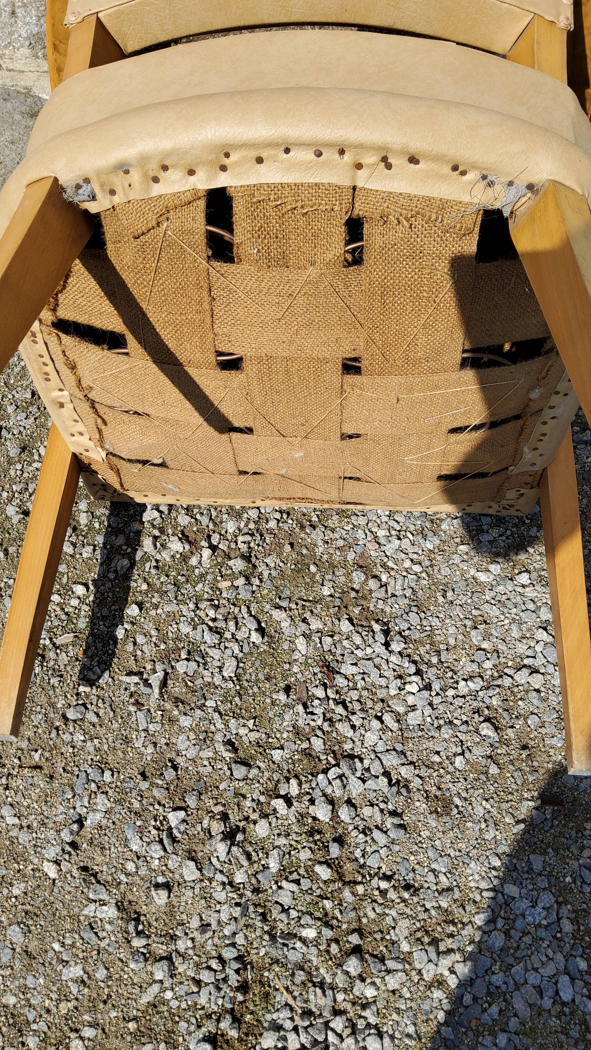 Office armchair from the 50s in beech tinted sycamore and moleskine