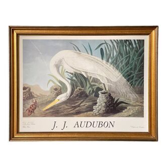 Lithograph Jean-Jacques Audubon Editions du Catastrophe XXe Oiseau