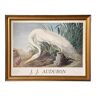 Lithographie Jean-Jacques Audubon Éditions du Désastre XXe Oiseau