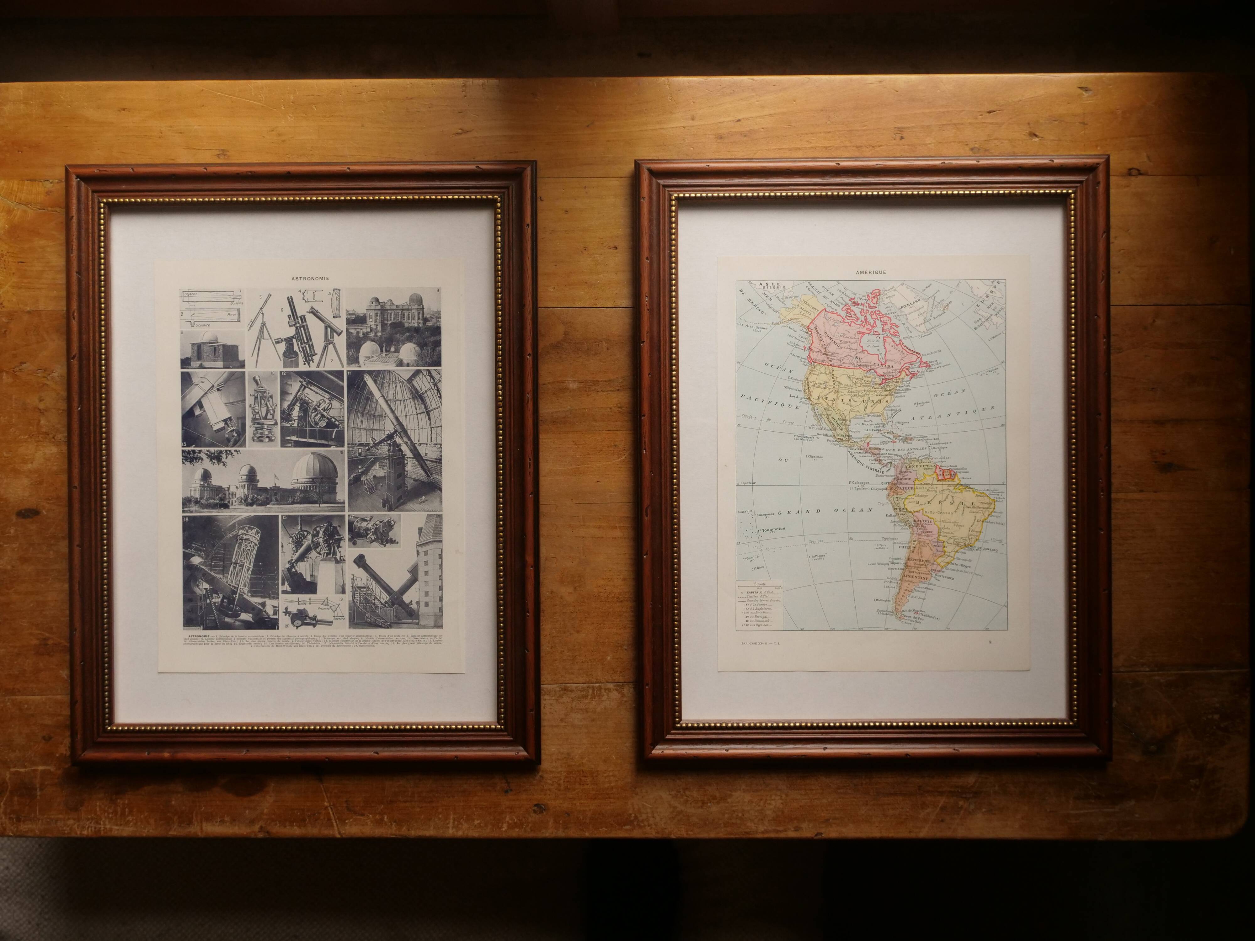 Original lithographs on forest and forest trees