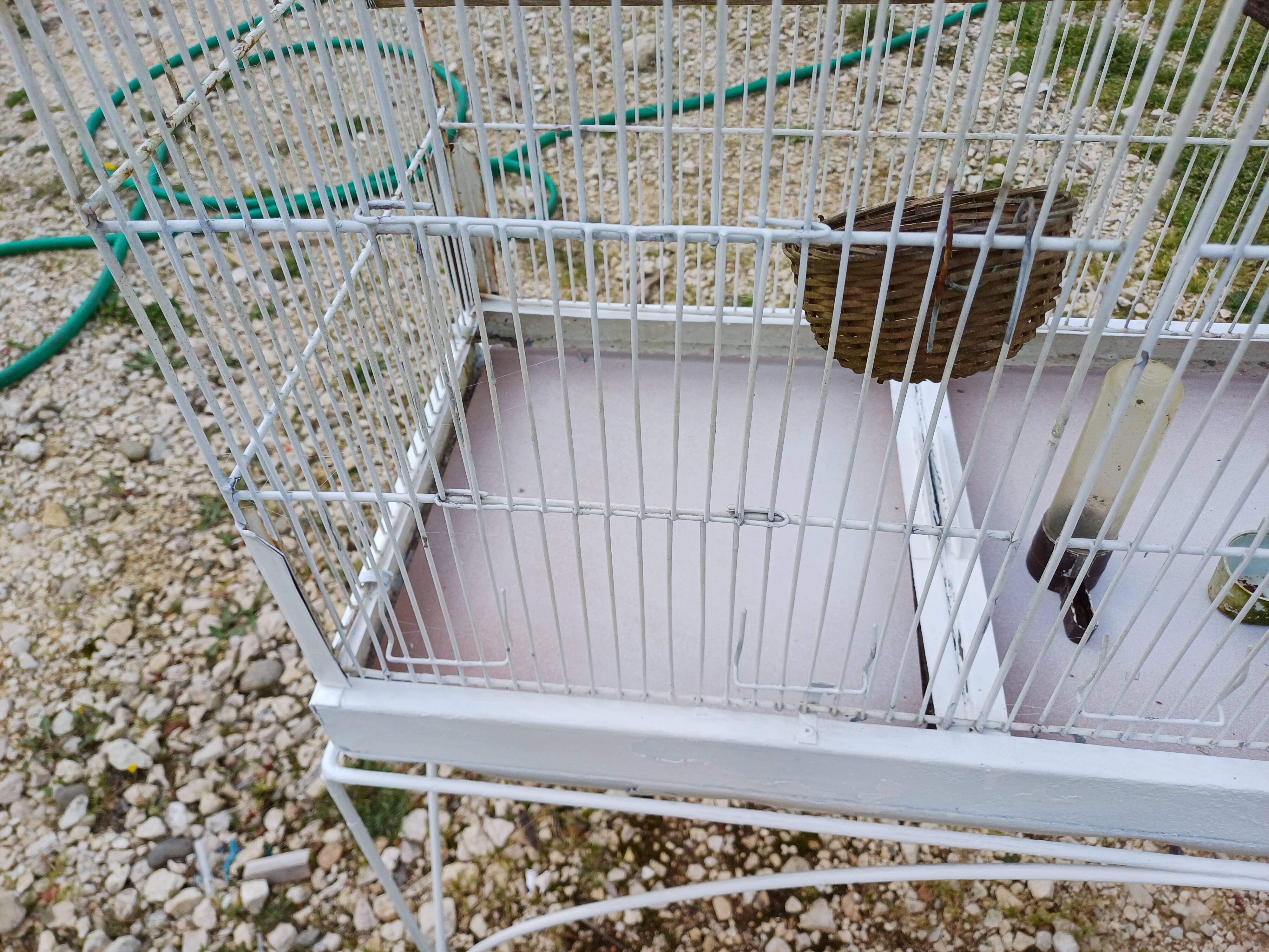 Cage à Oiseaux Fer 1900