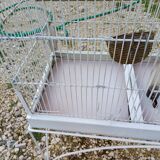Iron Bird Cage 1900
