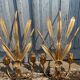 Pair of wall sconces in the shape of a wheat sheaf with two lights.