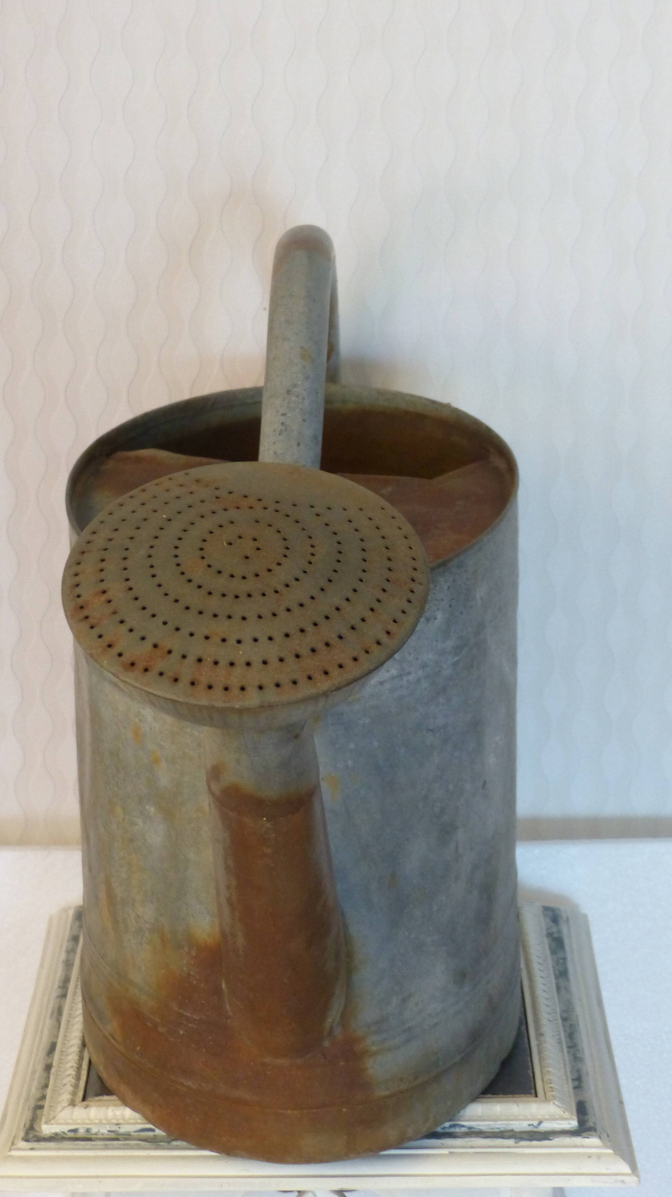 Zinc watering can