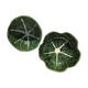 2 bowls slurry cabbage