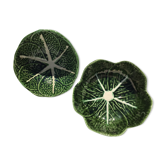 2 bowls slurry cabbage
