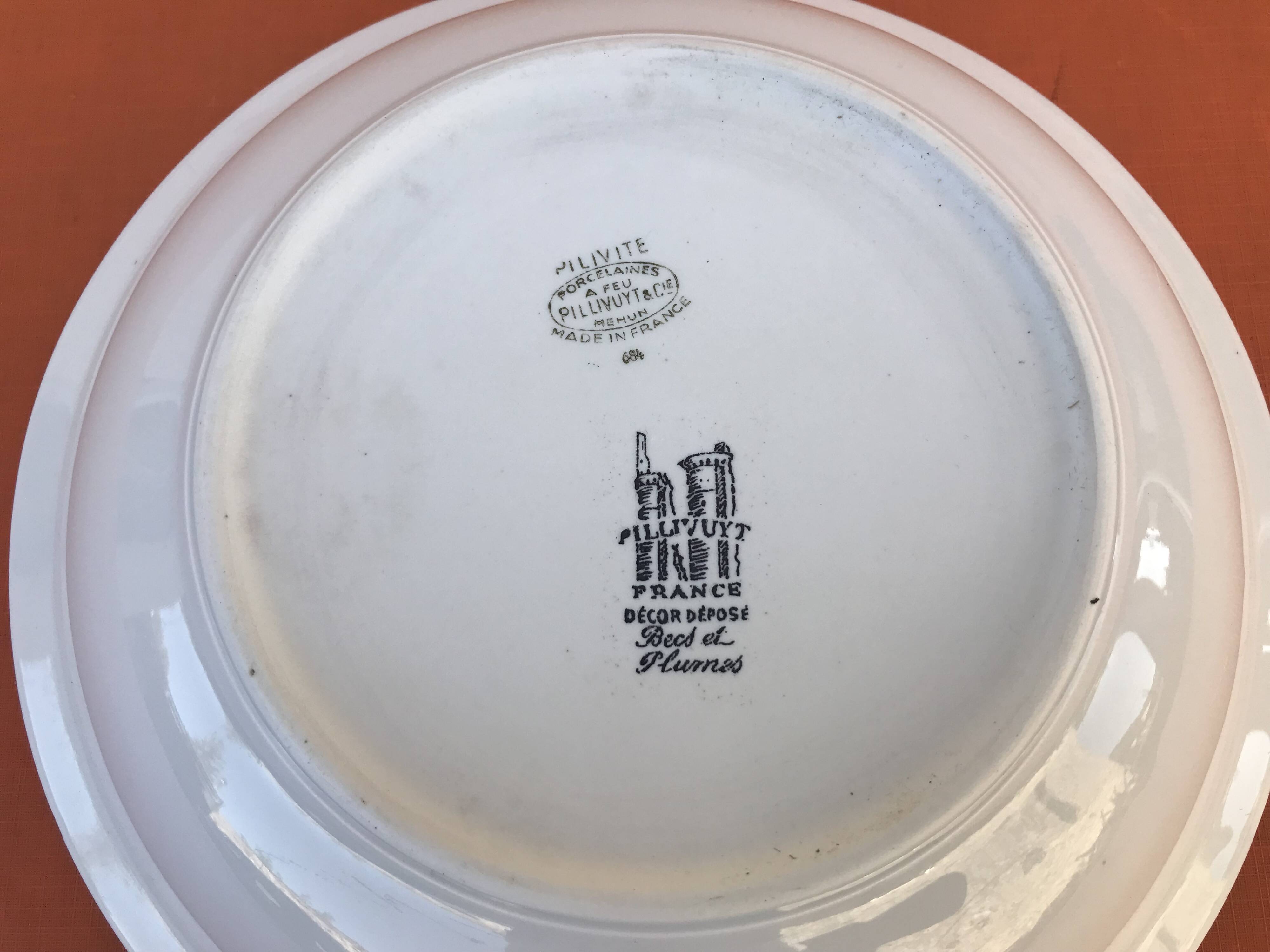 Old dish Decor Beaks and Feathers Pillivuyt France Deposited