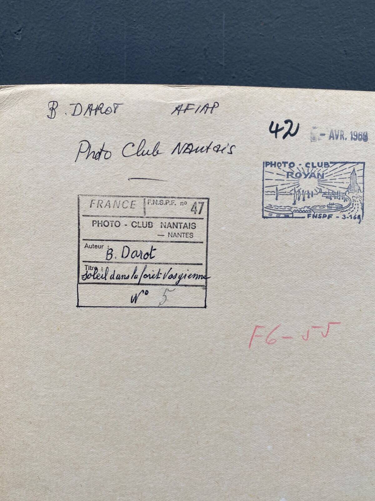 Silver gelatin photograph by Bernard Darot AFIAP. Sun in the Vosges Forest