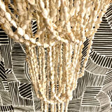 Shell luminaire