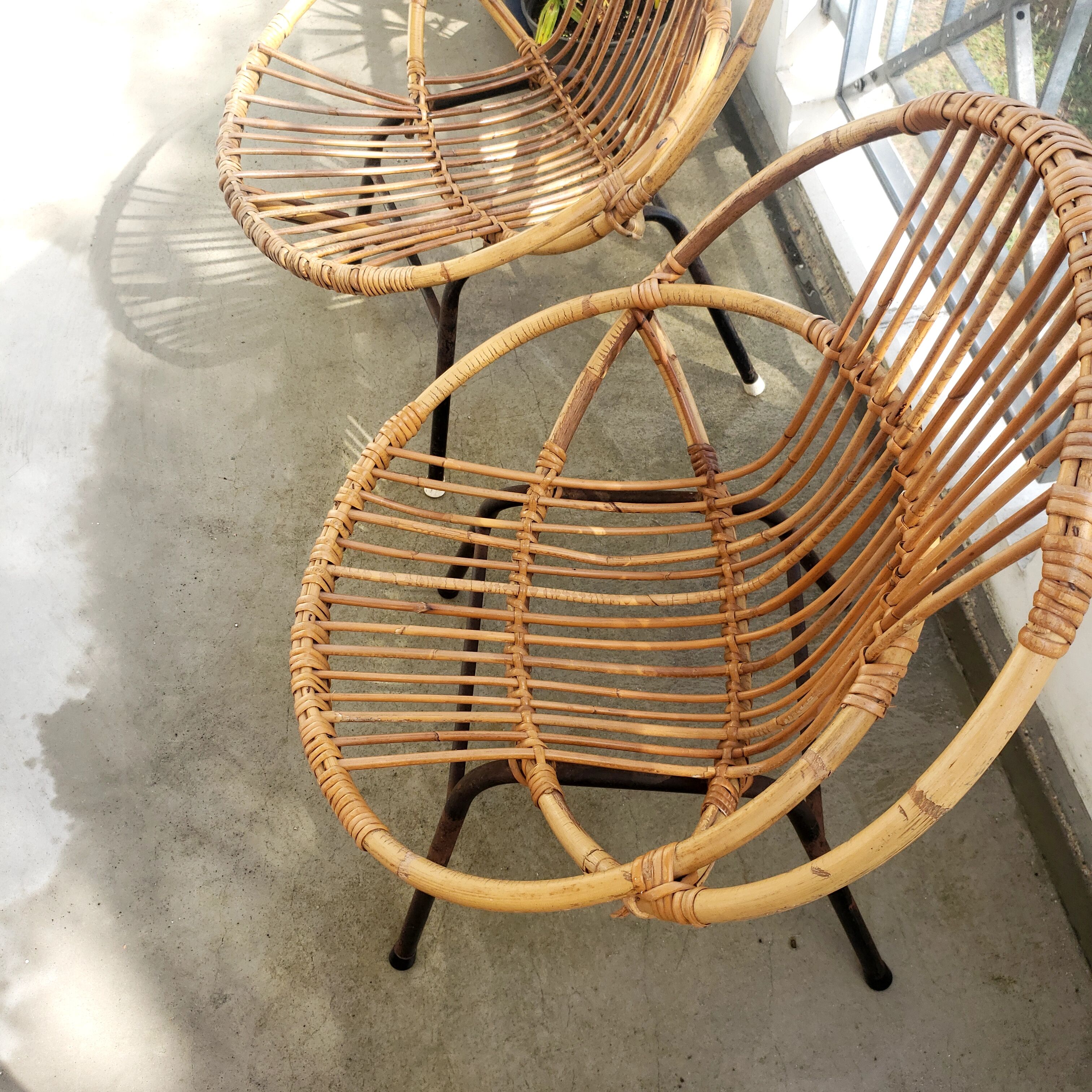 2 rattan shell armchairs, metal legs year 50