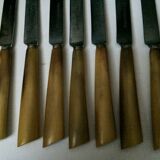 Set of 12 large knives and 11 horn and steel dessert knives