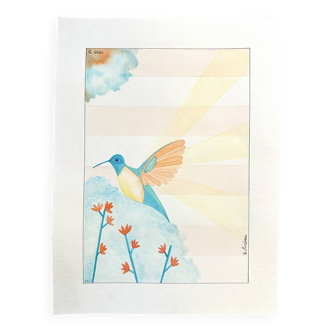 humming-bird