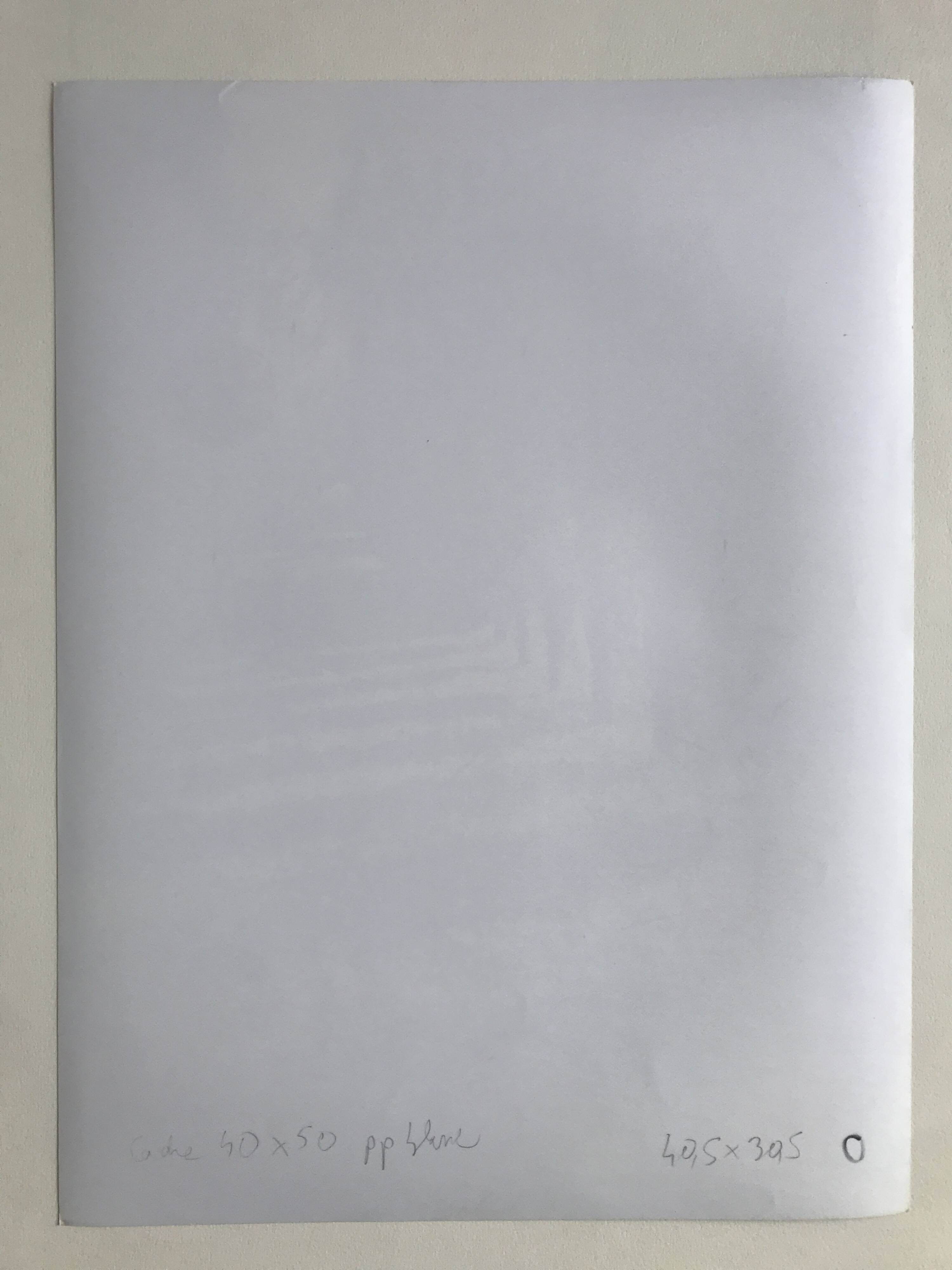 Rosine nusimovici, untitled (poplars), c 1980. black and white silver print