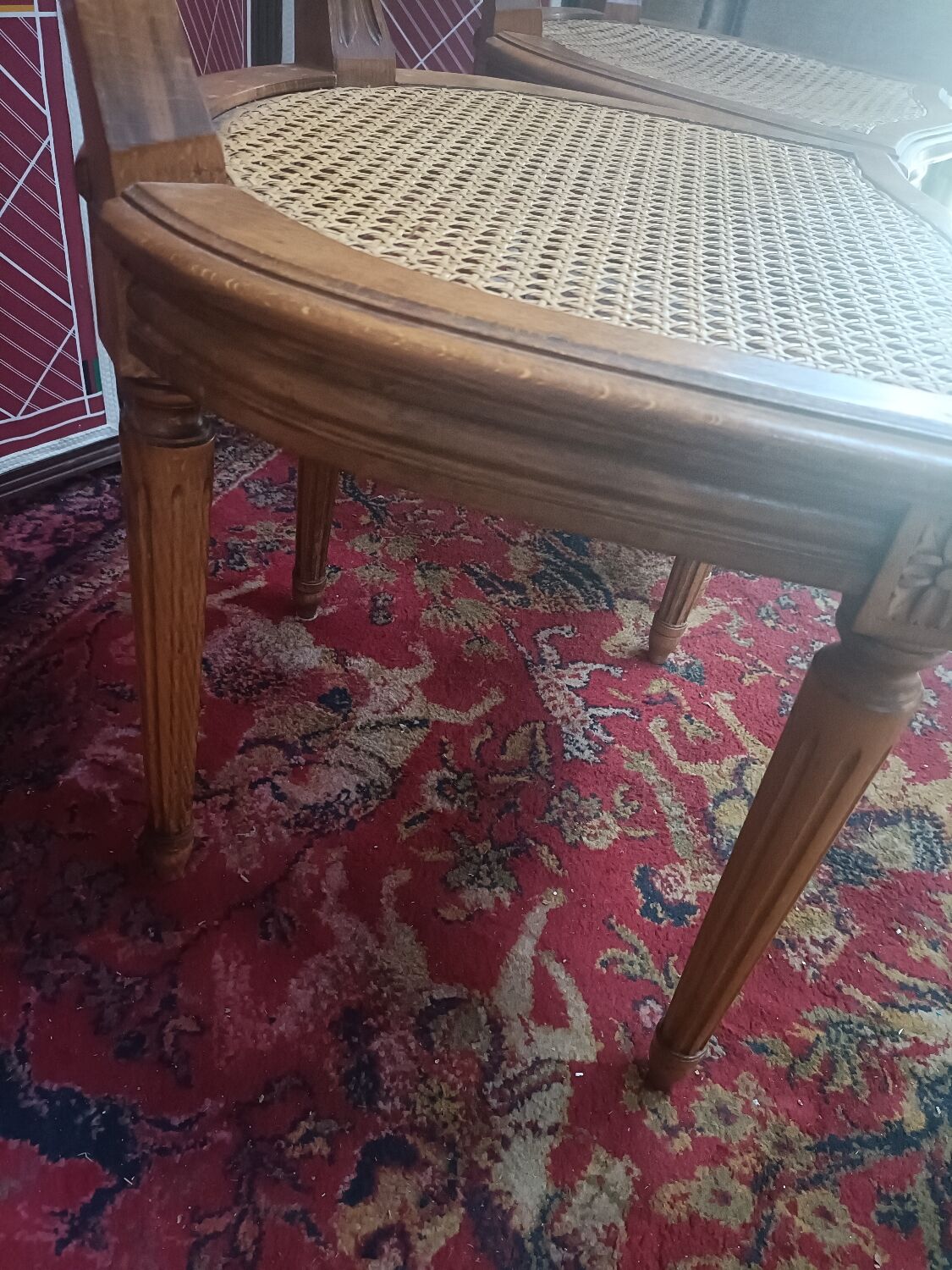 Louis XVI style medallion chairs, canned seat and back