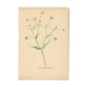 Planche de 1948, Fleurs des prés, stellaire par Strache