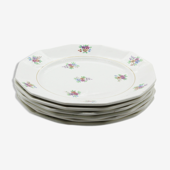 Lot de 6 assiettes ceranord