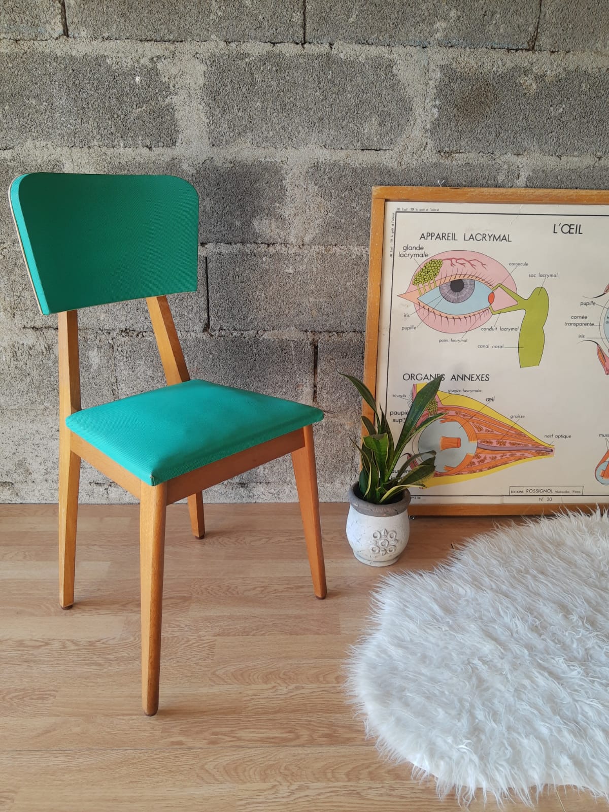 Beech chair compass feet 50s- 60s vinyl - vintage
