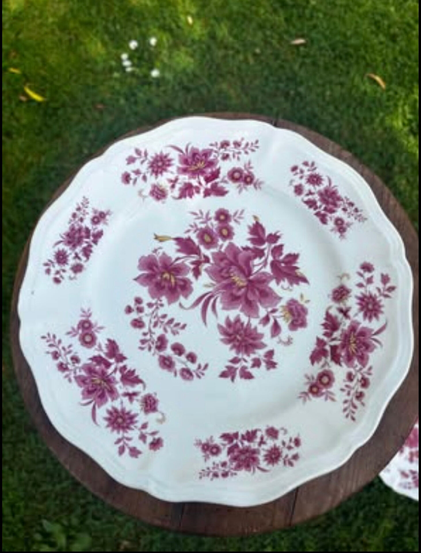 Ensemble de deux assiettes plates anciennes Sarreguemines Aubusson