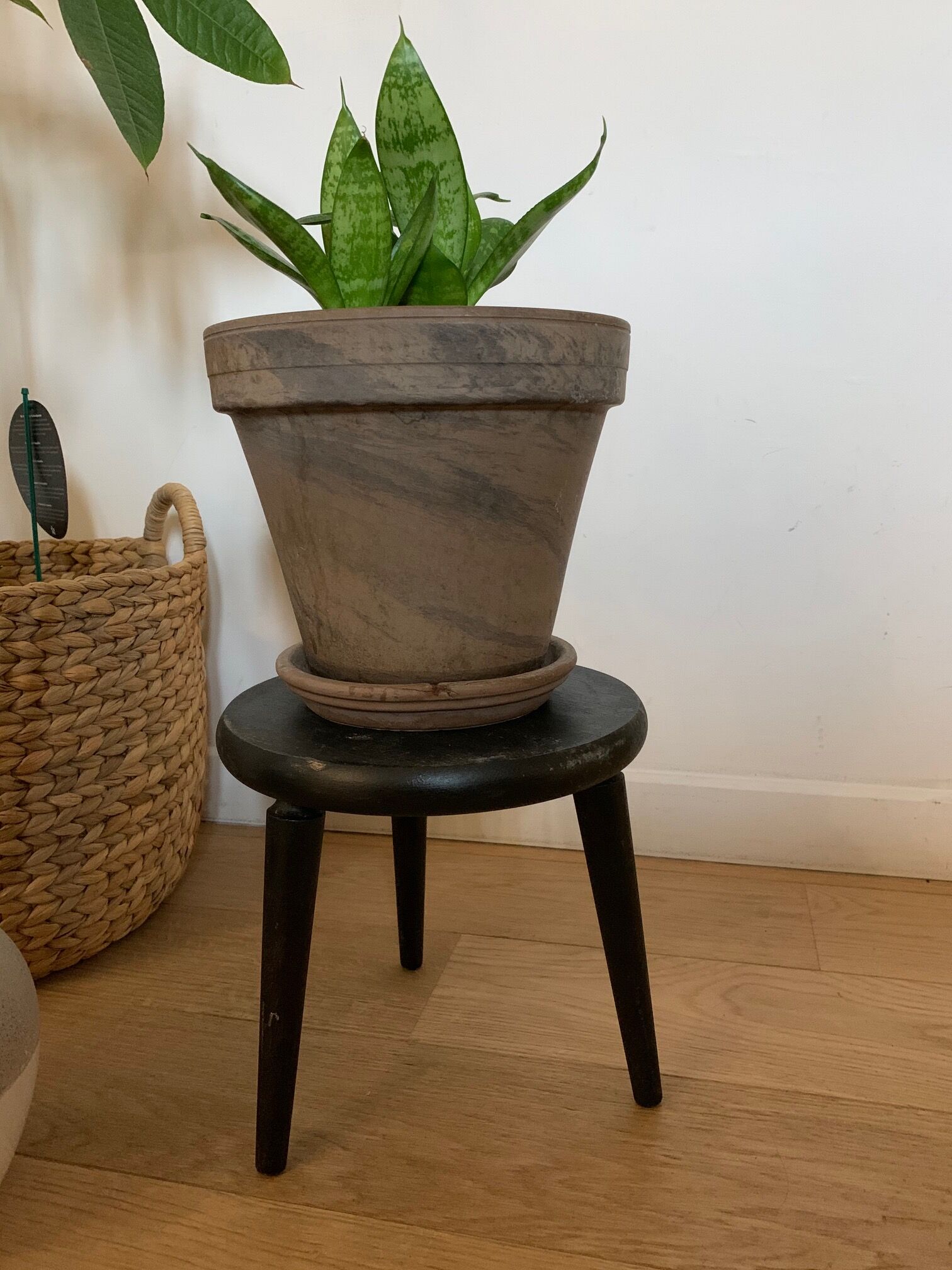 Vintage tripod plant holder